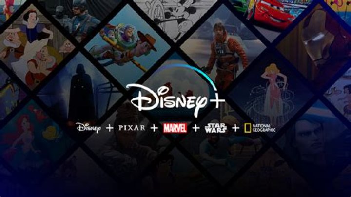 Guía para Descubrir Joyas Ocultas en el Catálogo de Gitem