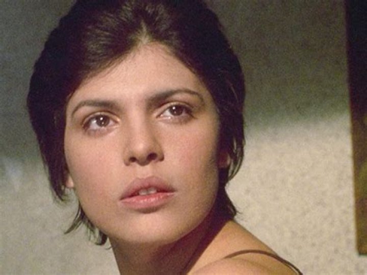 Las Mejores Películas Mexicanas y Latinas en ViX para 2024